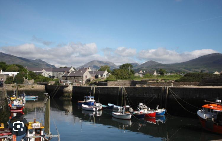 纽里15 Waterwheel Wharf, Annalong公寓 外观 照片